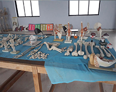 Jainee College of Physiotheraphy
            